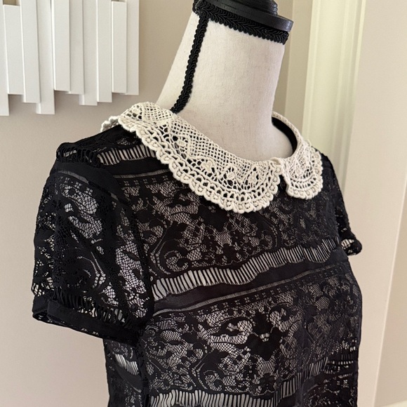 Forever 21 Sheer Black Lace Crochet Peter Pan Collar Short Sleeve Top M - Picture 3 of 8